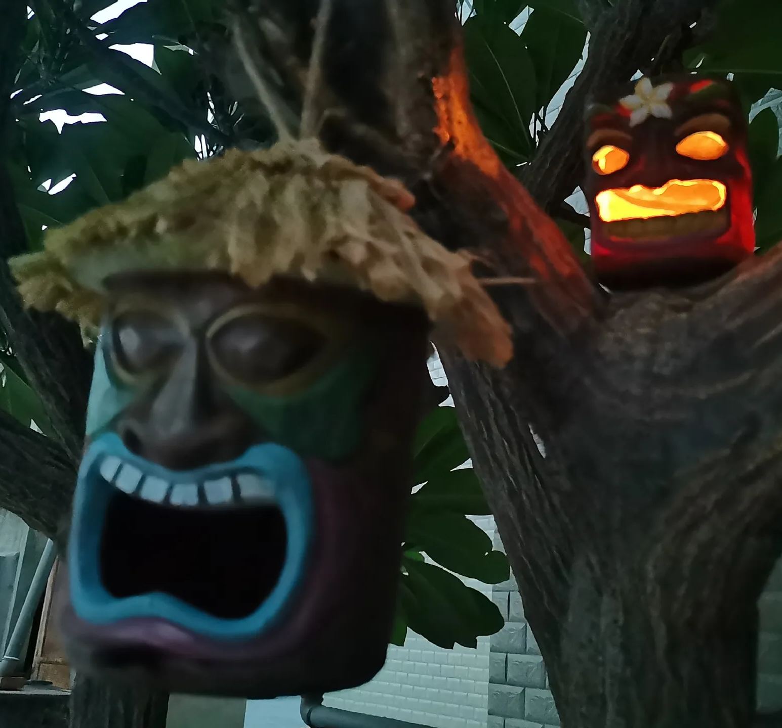 Outdoor courtyard hanging novel bird house