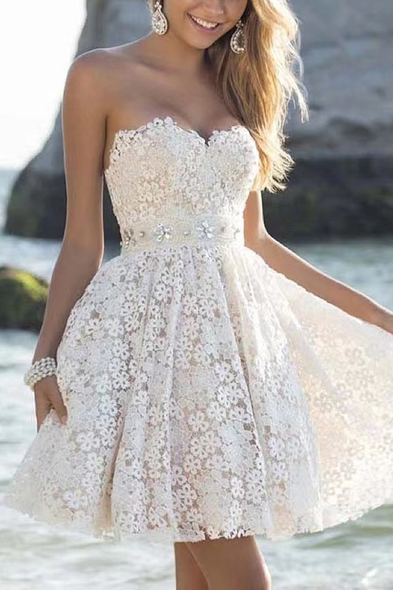 Necydress Camille Sexy Party Lace Sheath Dress