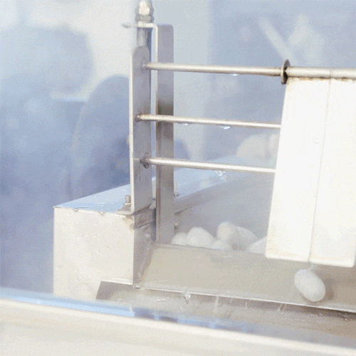 VechocleCreate the best everyday casual wear