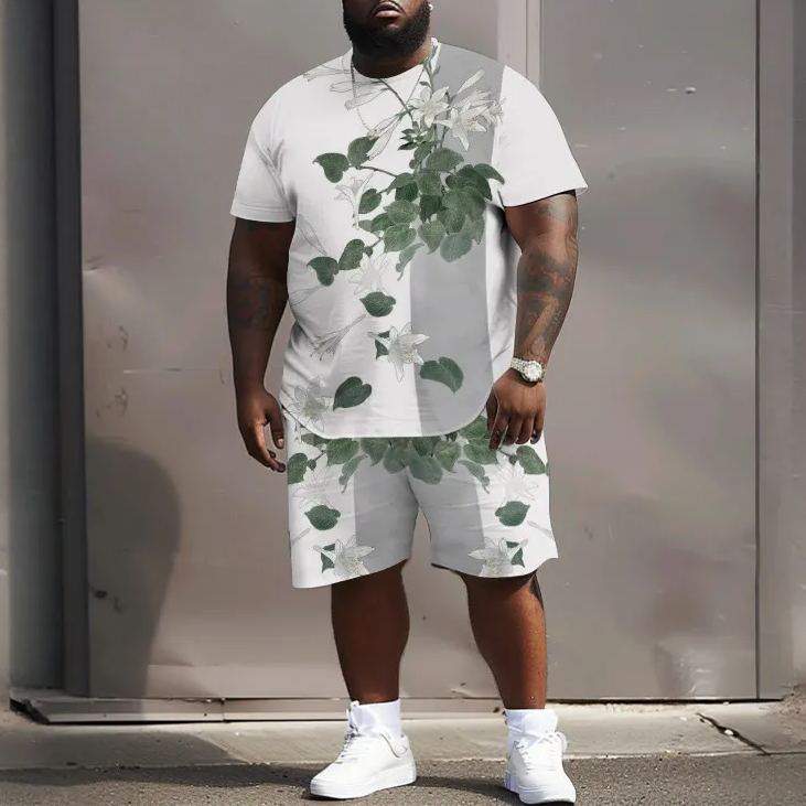 Men's Plus Size Floral Colorblock Geometric Print T-shirt Two-piece Set
