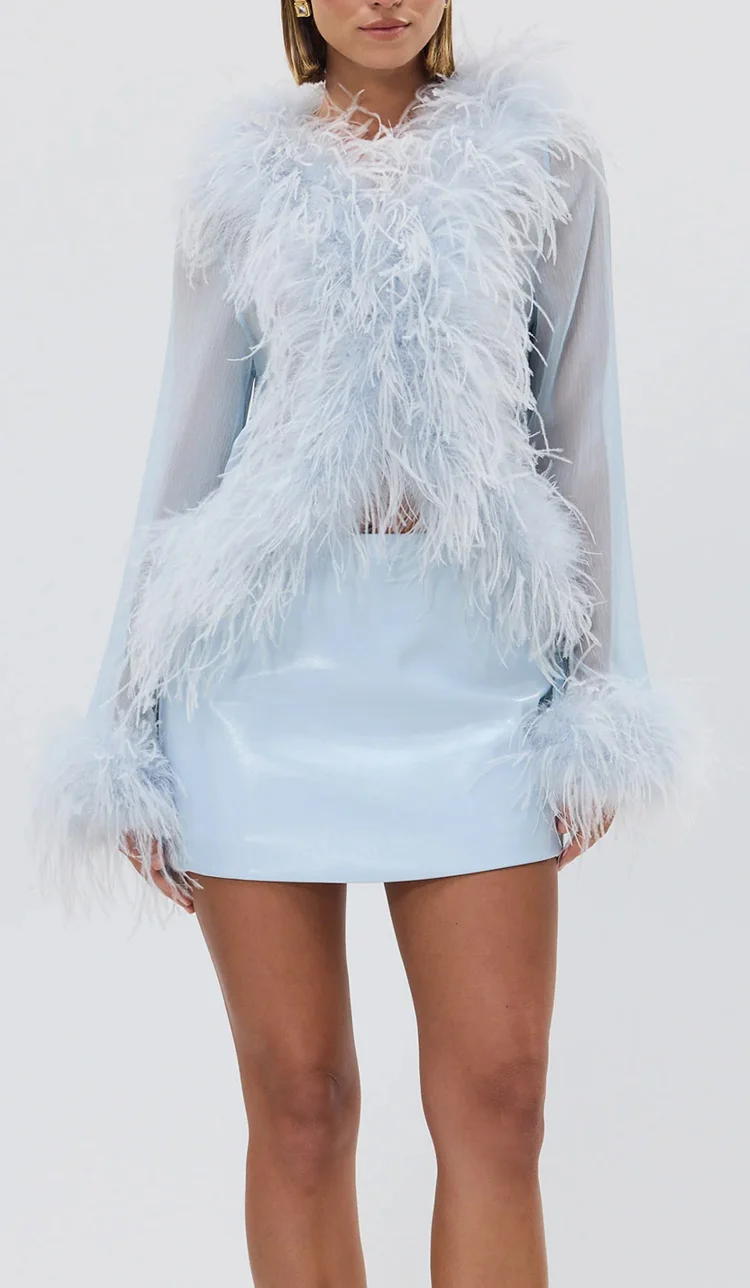 Baby Blue Feather Trim Long Sleeve Top and Mini Skirt Two Piece Set [erp-image:b65adb4bd2b0f4dedb9ba608]