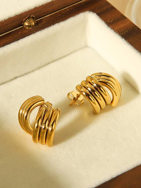 Unique Design Streamlined Earrings
