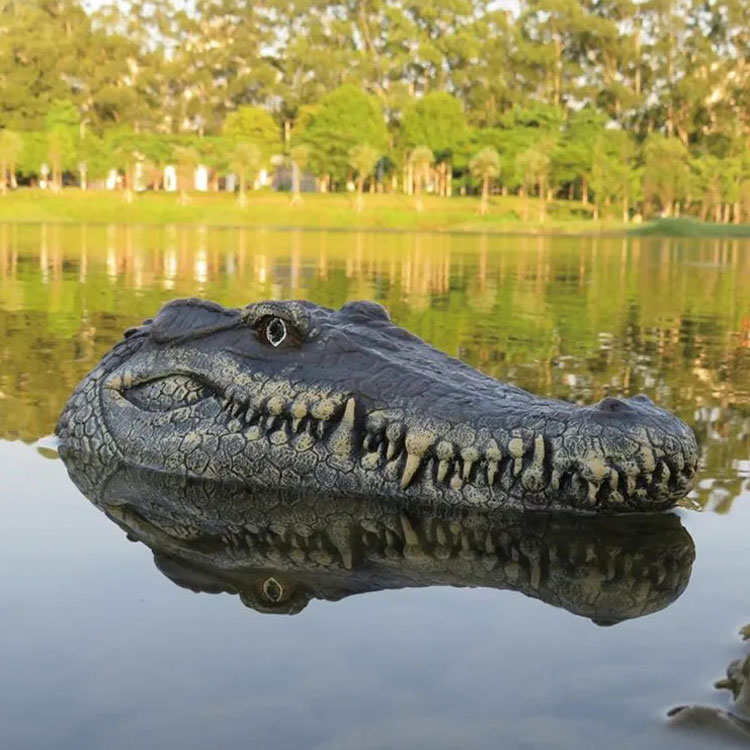 RC Crocodile 2.4 GHz Remote Control Crocodile Toys