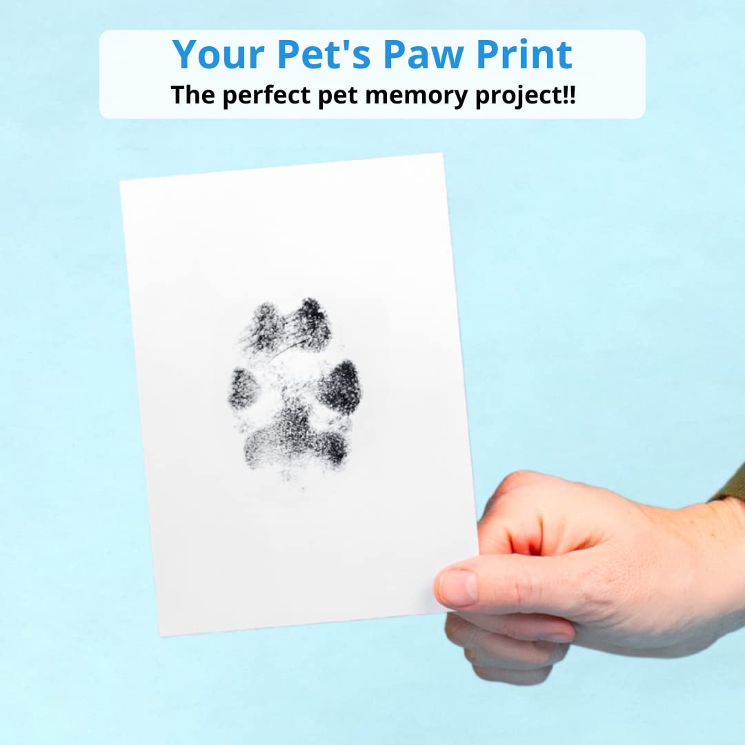 Paw Print Stamp Pad