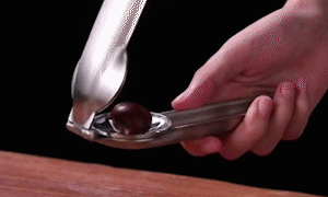 Stainless Steel Chestnut Opener