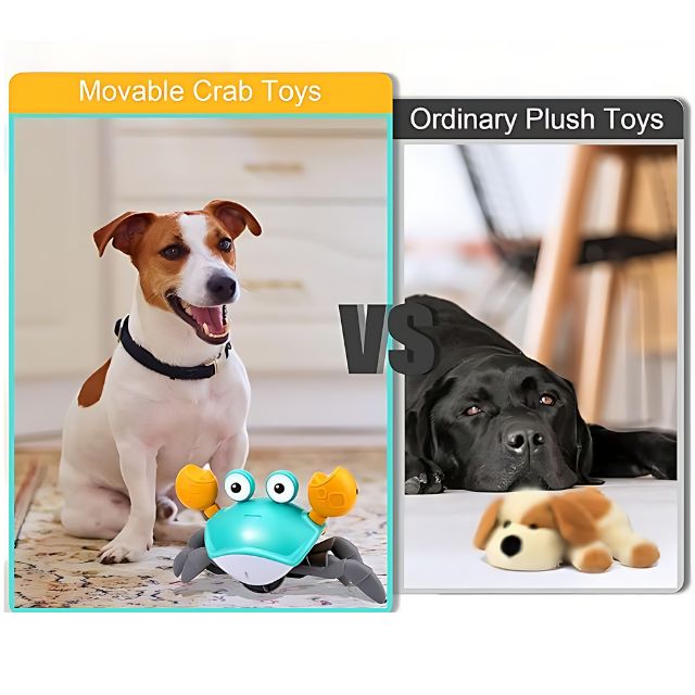 Crawling Crab Interactive Toy for Pups