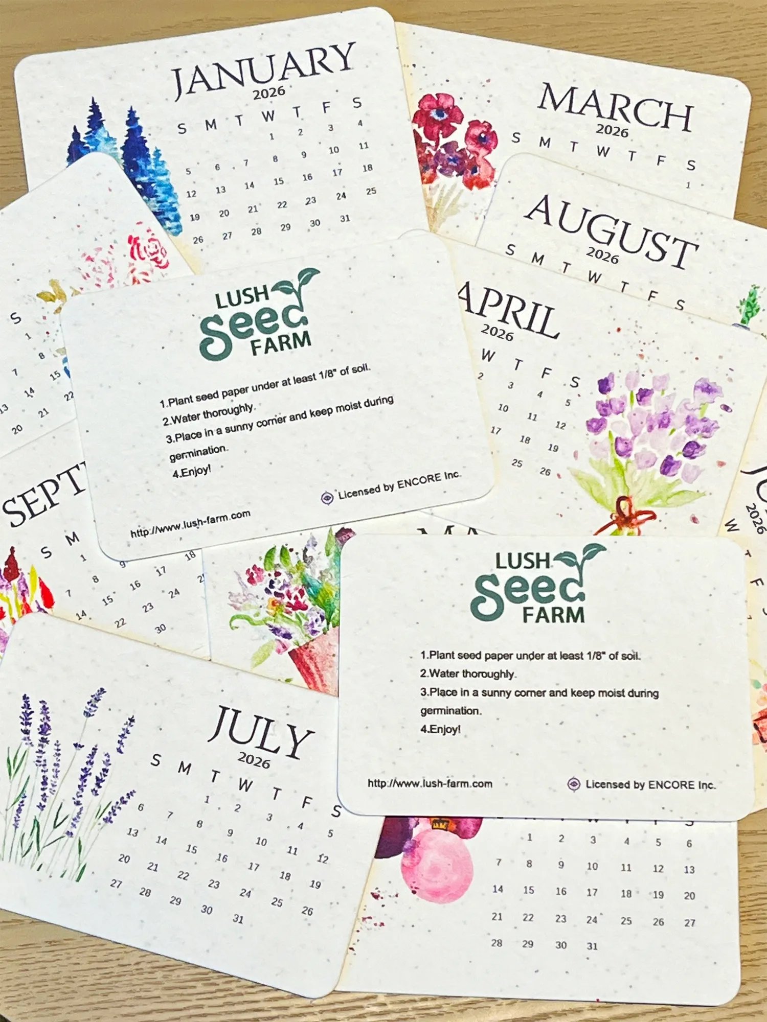 🌱Eco-Friendly Plantable Love Seed Calendar 2026
