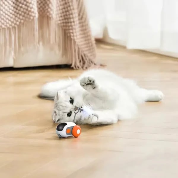 Turbo Tail 2.0 Cat Toy - 2024 Best Turbo Tail Mouse Cat Toy Remote Control Toy
