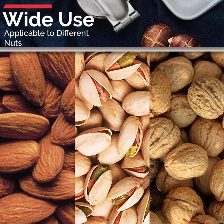 Stainless Steel Chestnut Opener