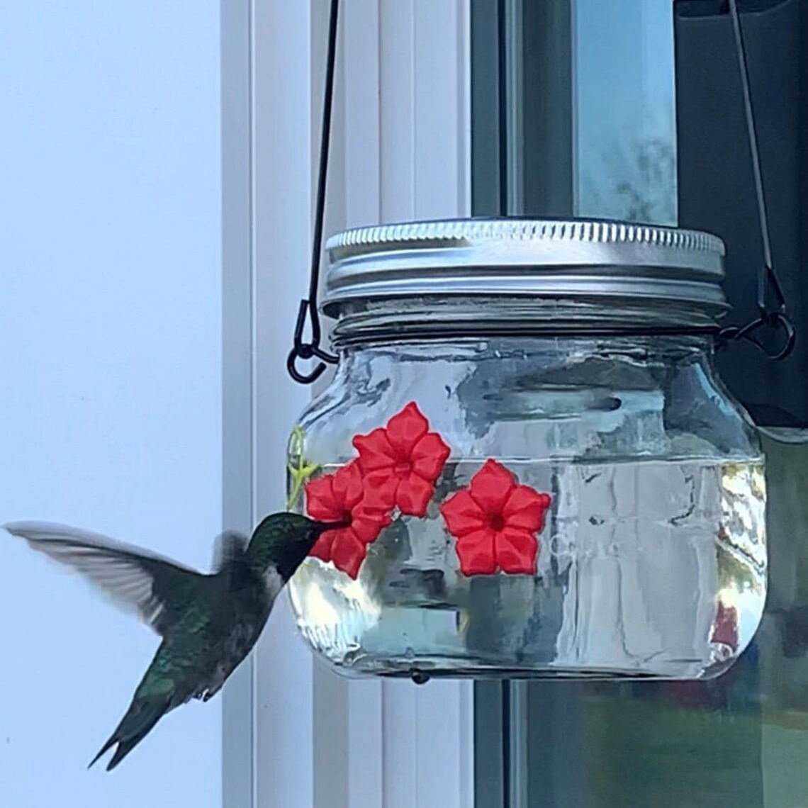 Beautiful Mason Jar Hummingbird Feeder W/ Three Ports
