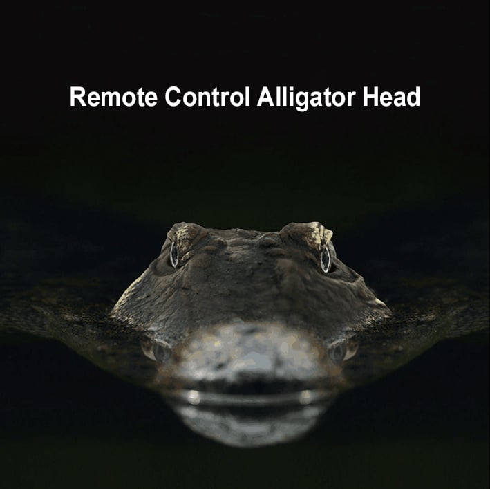 RC Crocodile 2.4 GHz Remote Control Crocodile Toys