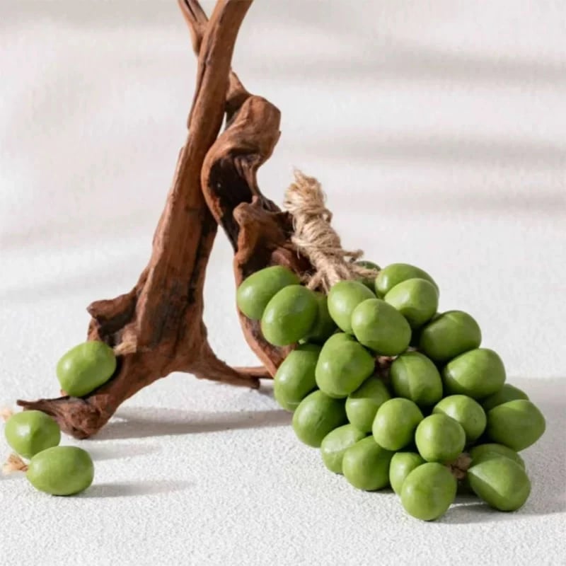 🍇 Grape Soap Series – Bubbly Grapes That Come to Life