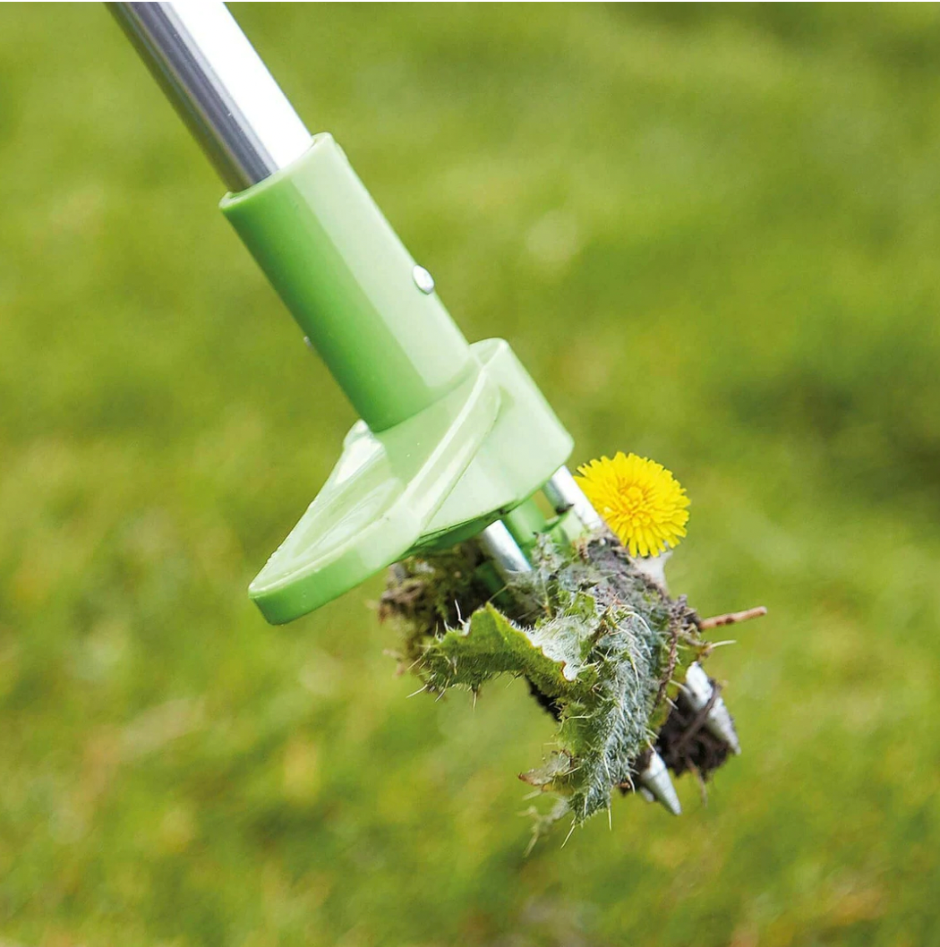 Standing Weed Puller with Three Pronged Grip and Spring Release
