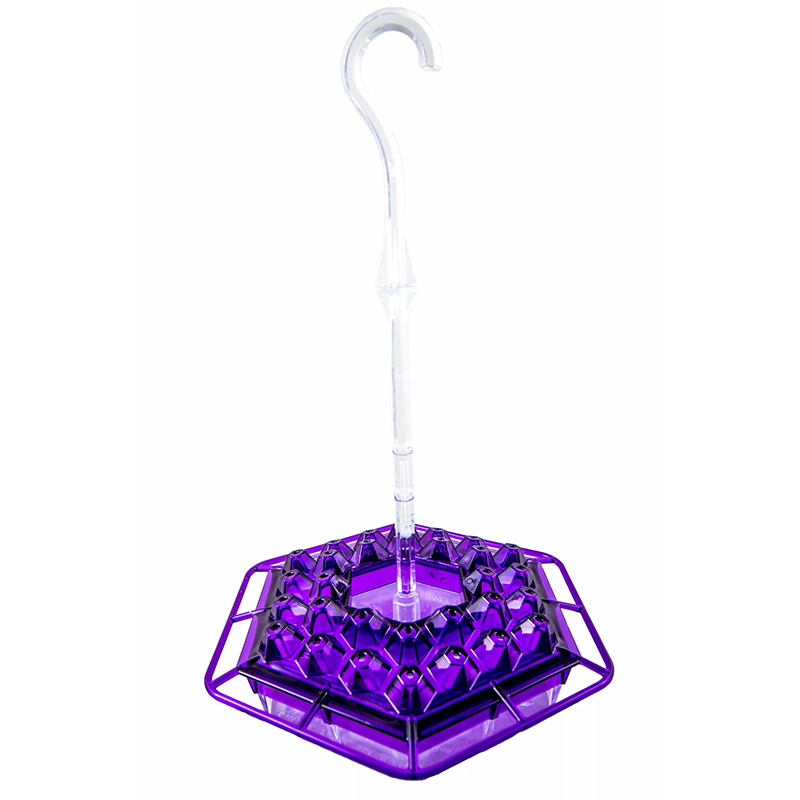 Mary's Sweety Hummingbird Feeder With Perch Water Feeder