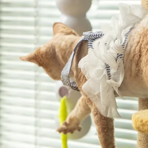 🎅Christmas Sale 49% Off 🎄😽Smart Interactive Electric Caterpillar Cat Toy