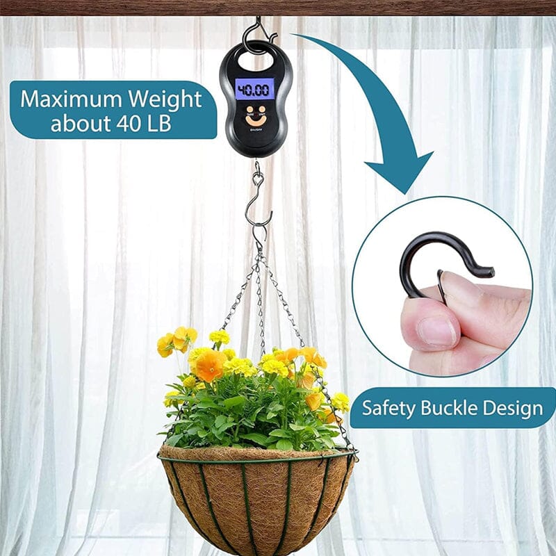 Anti-Drop Bonsai Hooks