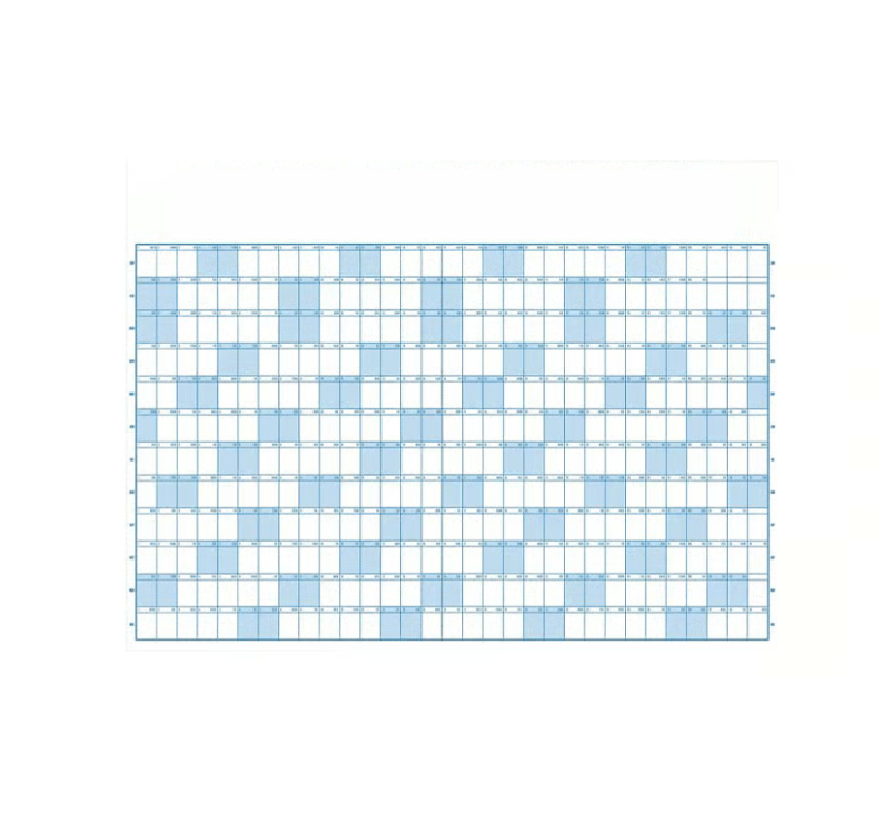 The Big Calendar 2025 | Dry Erase