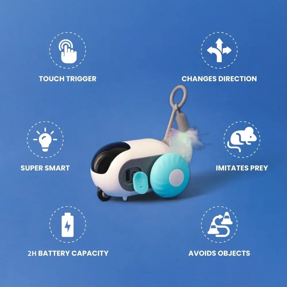 Turbo Tail 2.0 Cat Toy - 2024 Best Turbo Tail Mouse Cat Toy Remote Control Toy