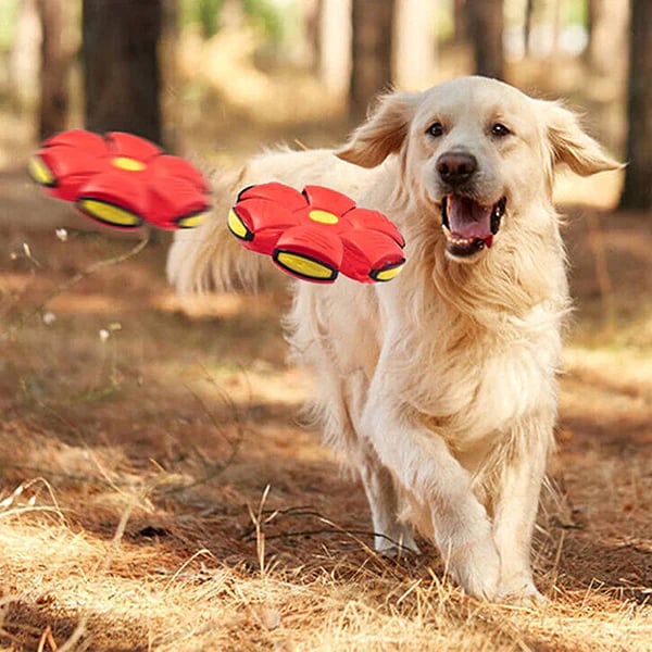 Buppole Pet Toy Flying Saucer Ball