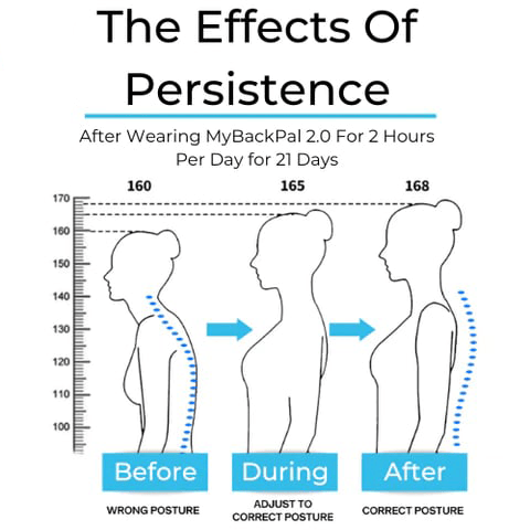 Adjustable Unisex Back Posture Belt (For Office Home Gym)