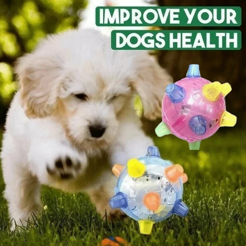 Jumping activation ball for dogs and cats