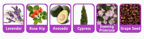 9 ec36a8ba 30d8 44db 8240