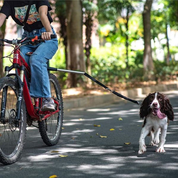 Dog Bike Harness