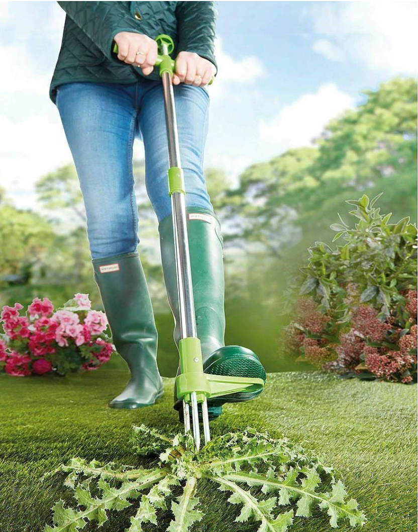 Standing Weed Puller with Three Pronged Grip and Spring Release