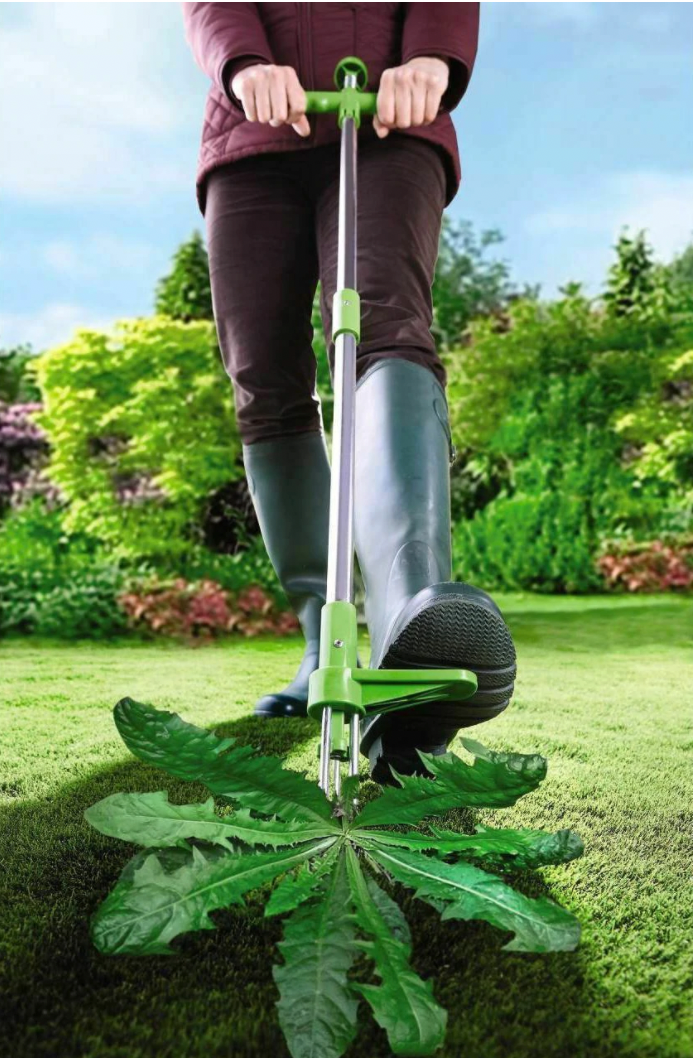 Standing Weed Puller with Three Pronged Grip and Spring Release