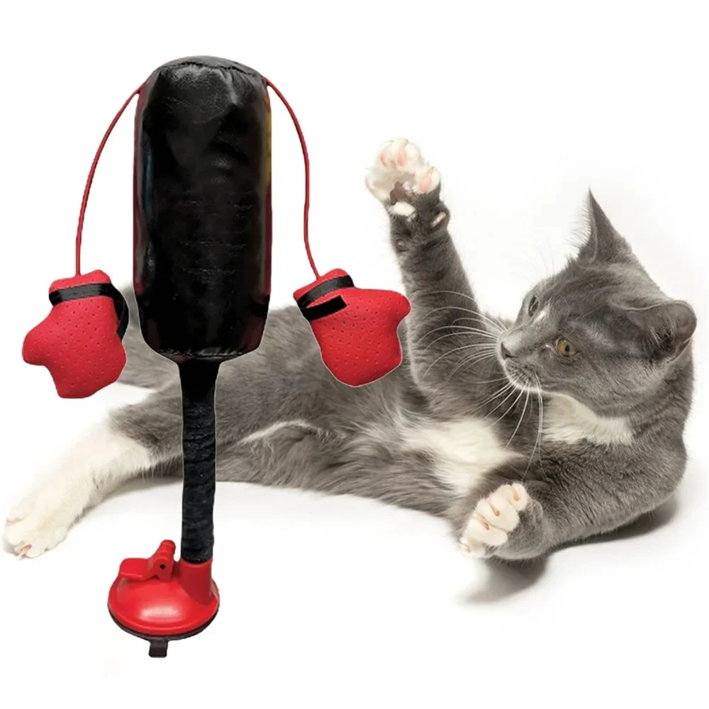 Cat Punching Bag Toy