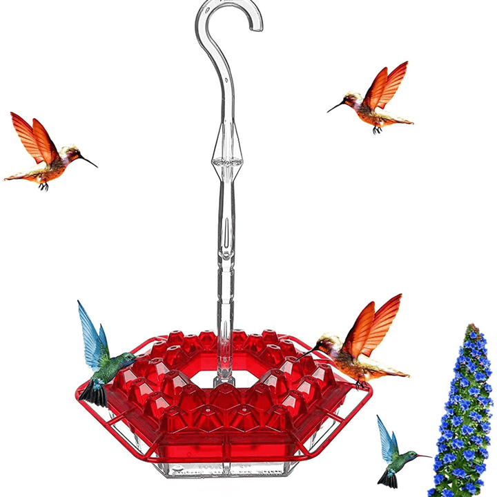 Mary's Sweety Hummingbird Feeder With Perch Water Feeder