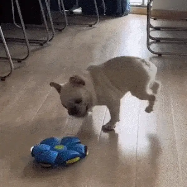 Buppole Pet Toy Flying Saucer Ball