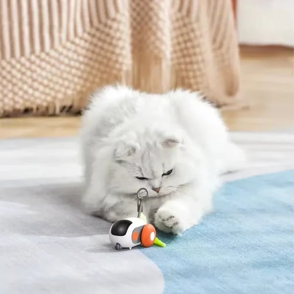 Turbo Tail 2.0 Cat Toy - 2024 Best Turbo Tail Mouse Cat Toy Remote Control Toy
