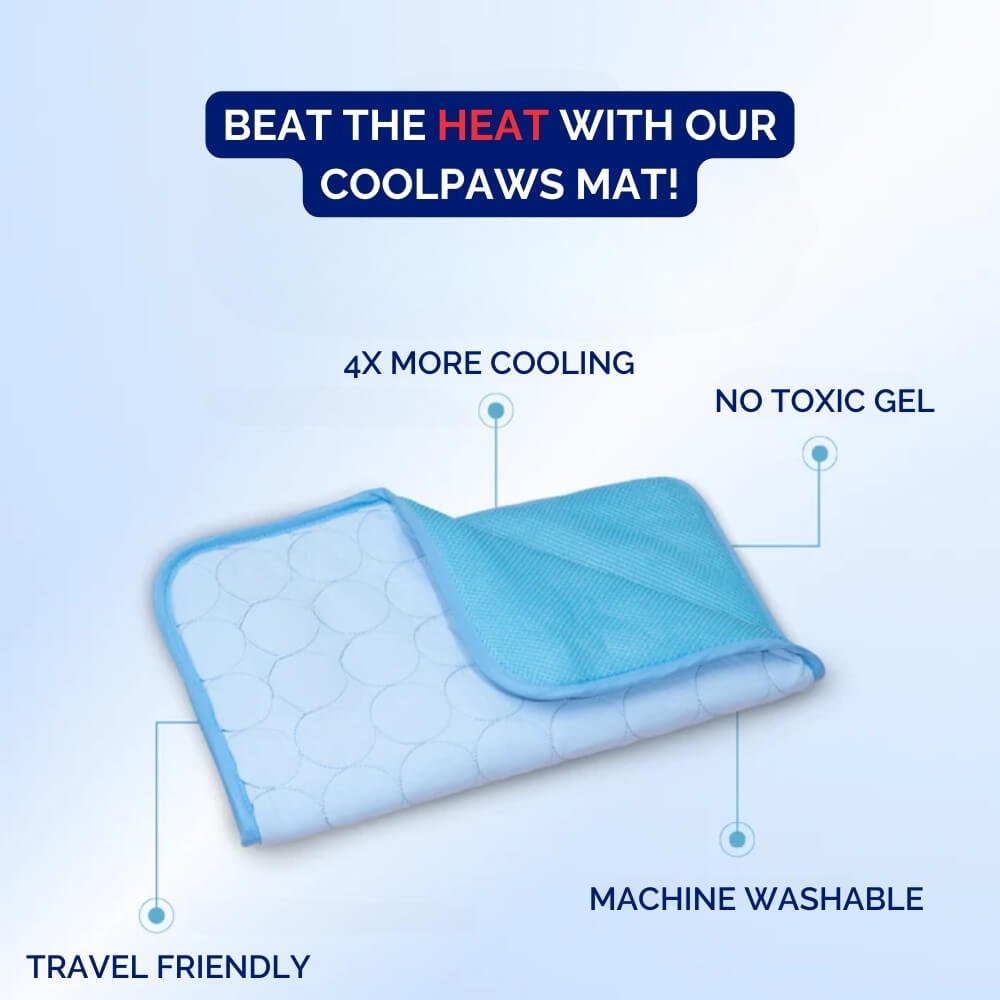 Pressure Activated Cooling Mat for Dogs with Self Recharging Gel