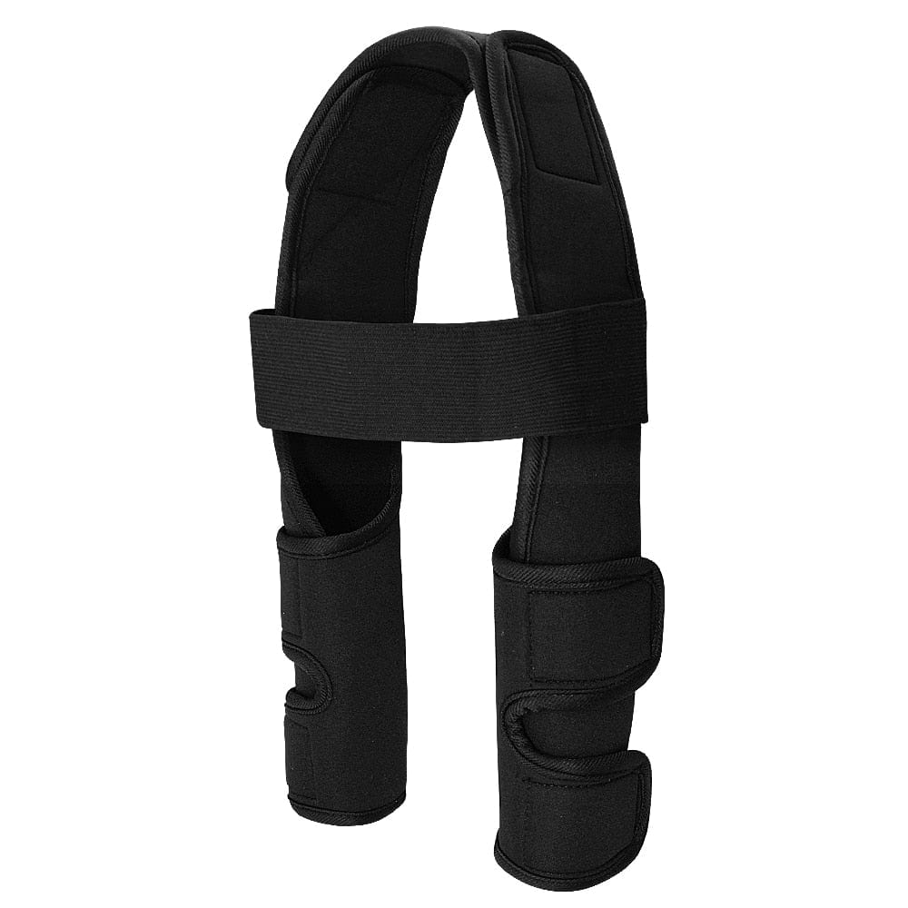 Dog Front Leg Splint