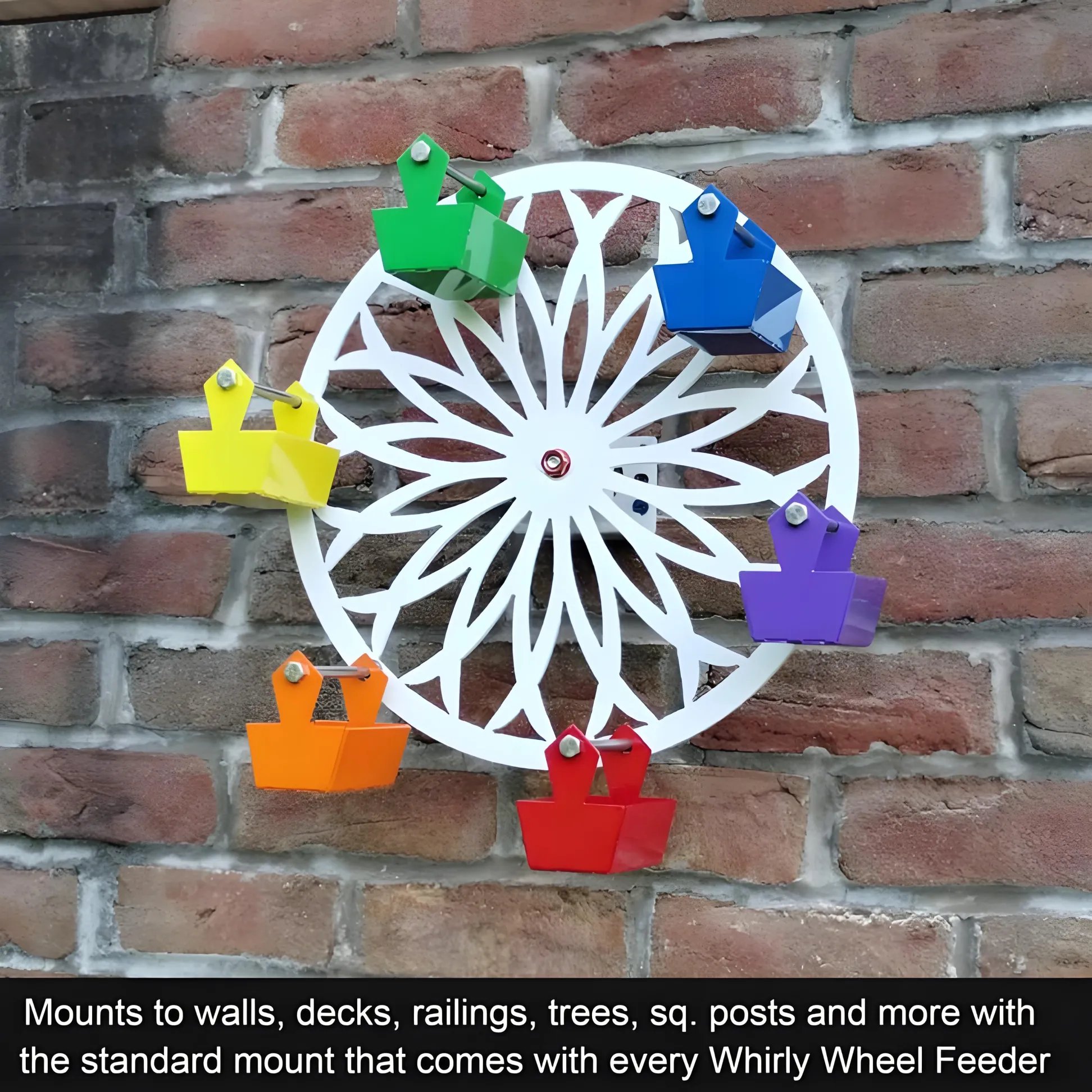 🎡The Ferris Wheel of Fun for Your Feathered Friends