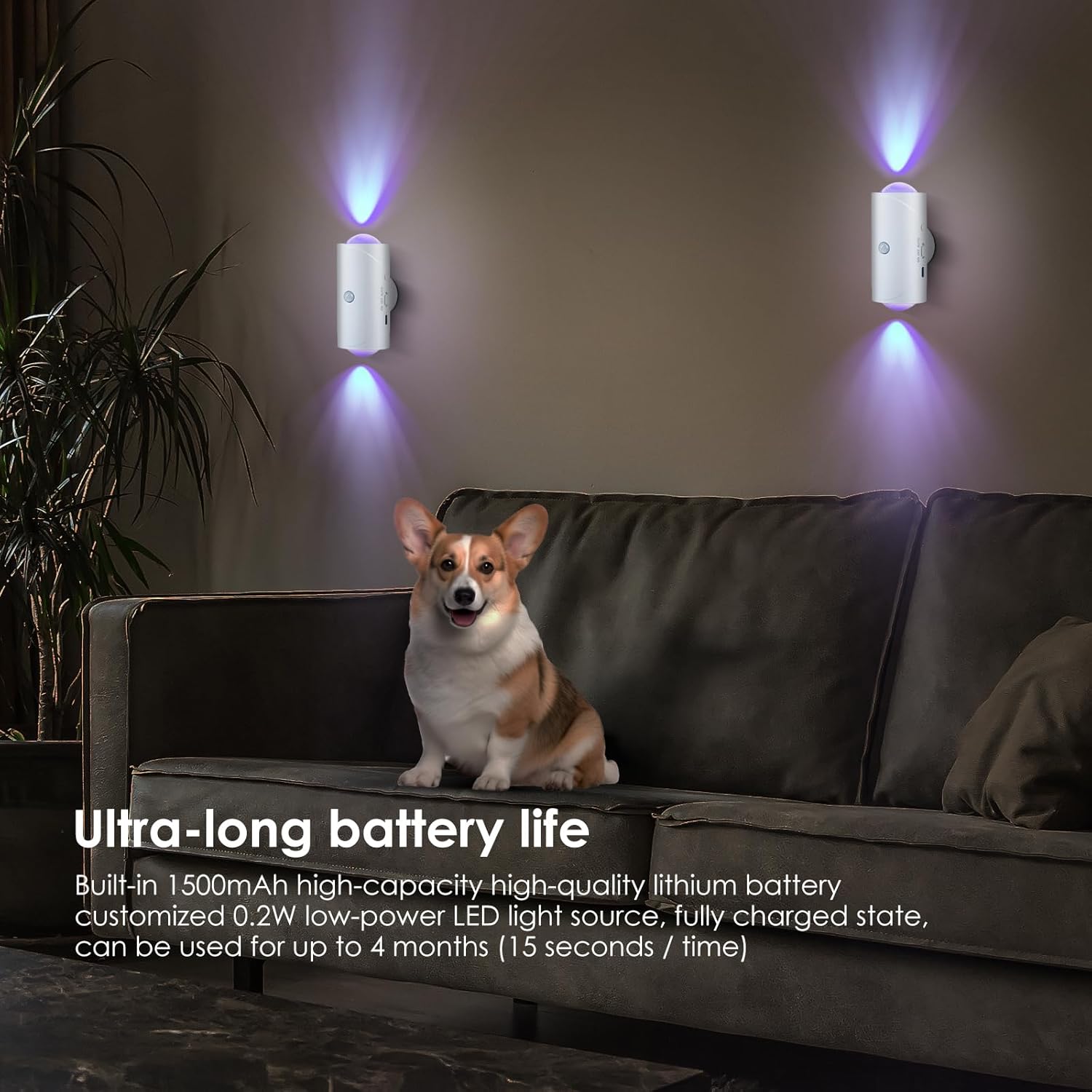 Smart Rechargeable LED Night Light