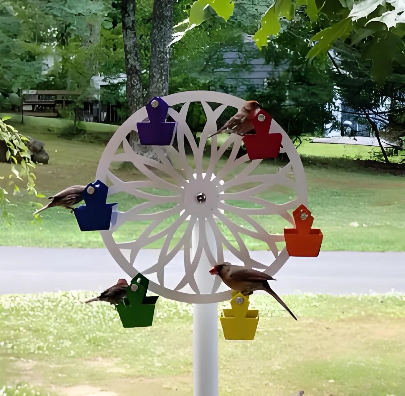 🎡The Ferris Wheel of Fun for Your Feathered Friends