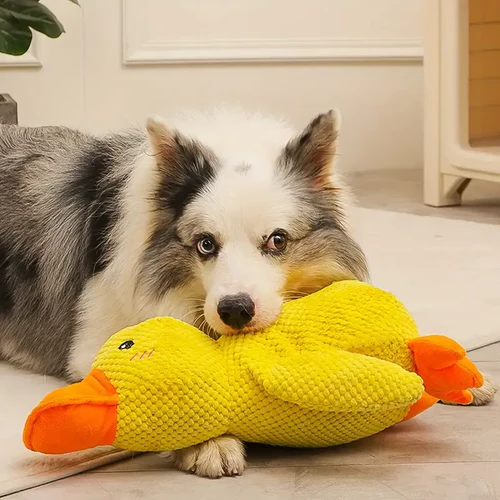 Calming Duck Dog Toy