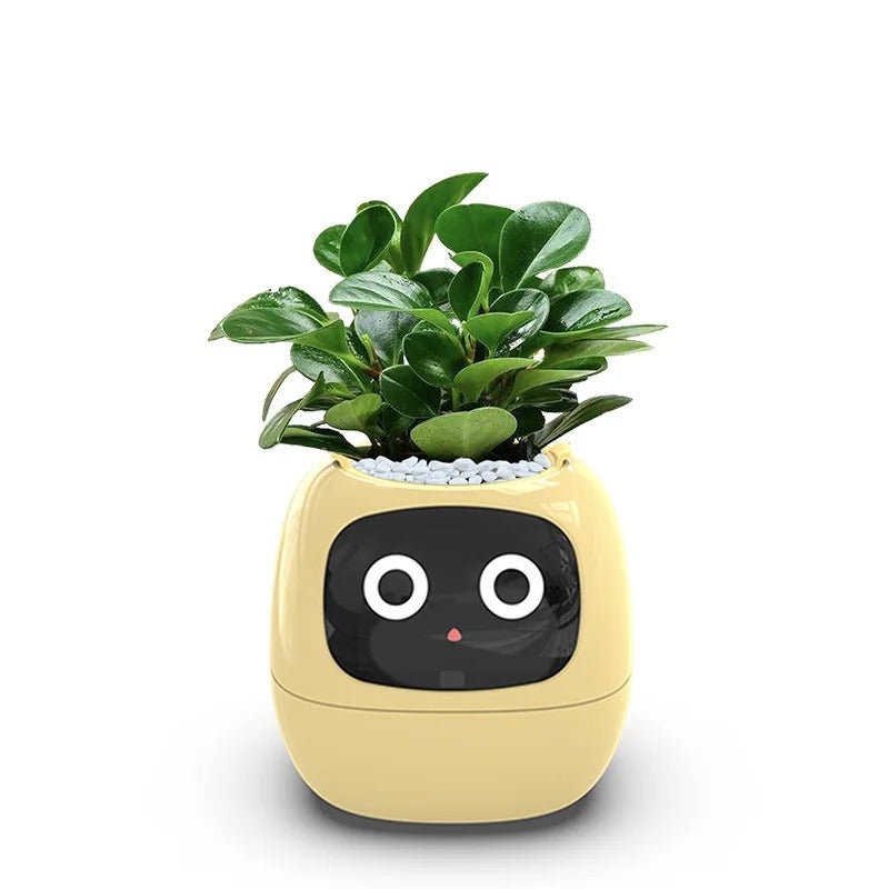 Smart Sensors Planter - 7 Smart Sensors, and Ai Chips Make Raising Plants Easy and Fun for Living Room