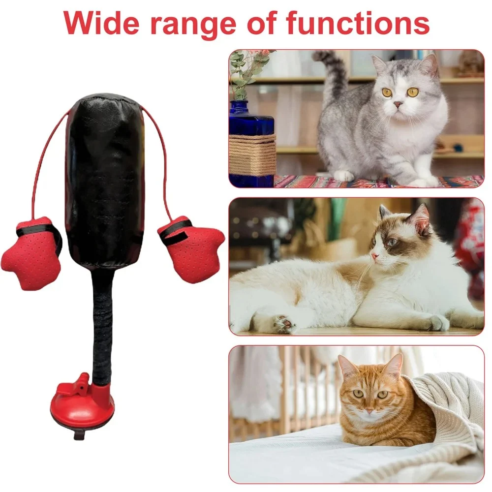 Cat Punching Bag Toy