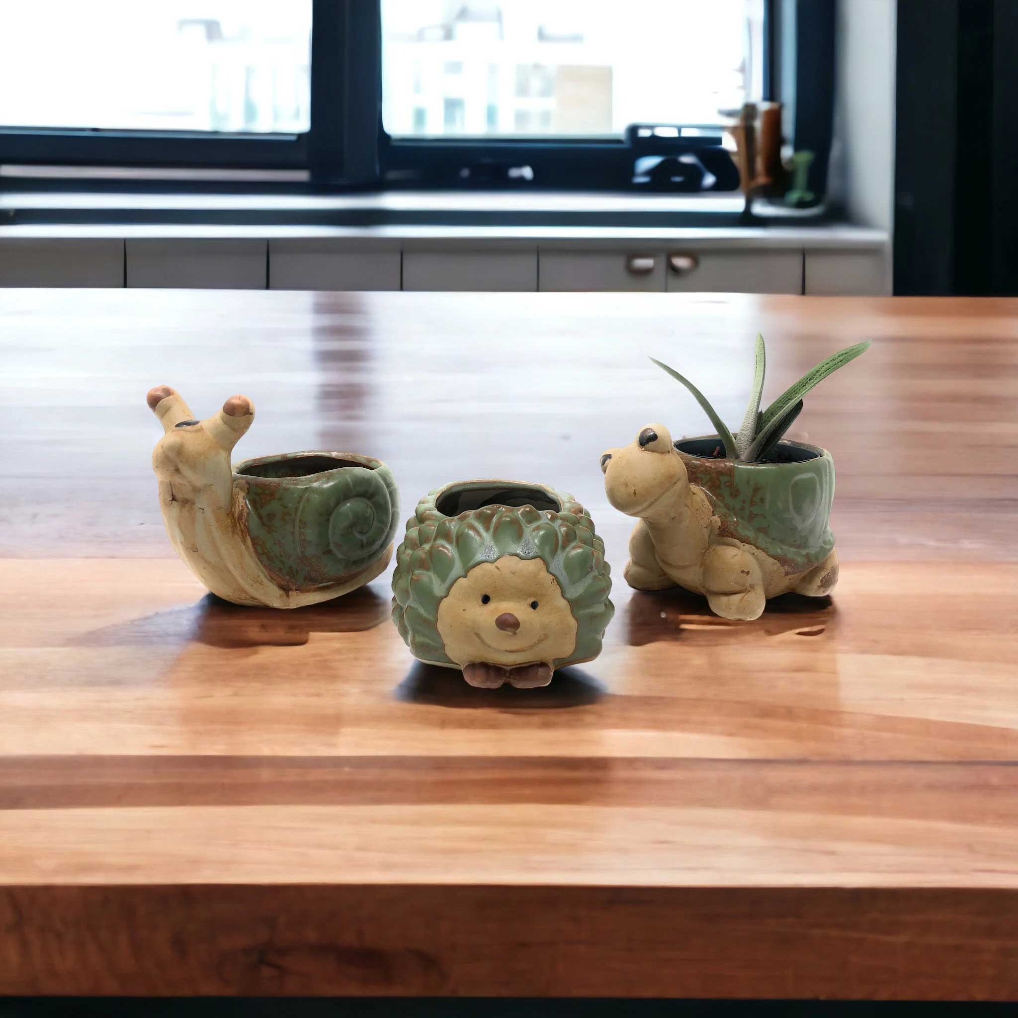 Animal Planter Pots for Succulent or Small Plants