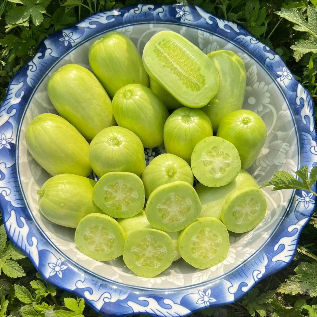 Jade Maiden Cucumber - Sweet, Crispy and Refreshing