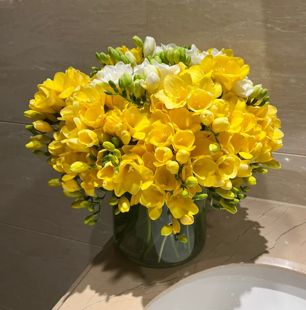 💐Freesia Bulbs-Happiness Arrives