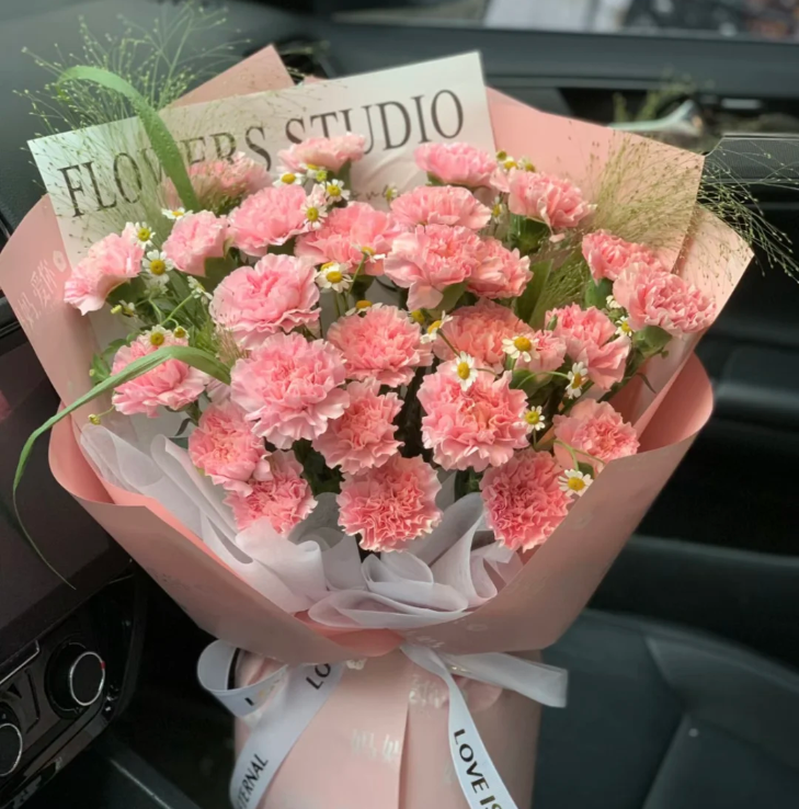 Multicolor Carnation Seeds