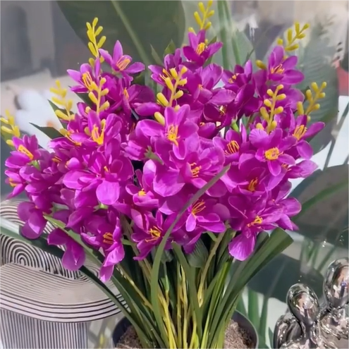 💐Tuberose – Königin der Nacht