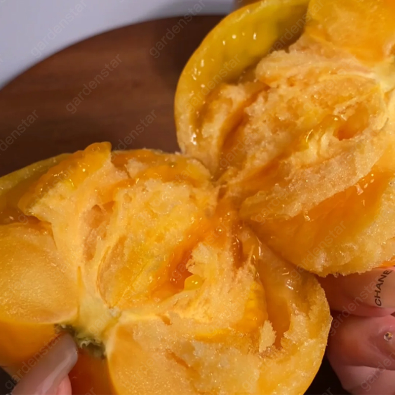 🍅Yellow Tomato Seeds