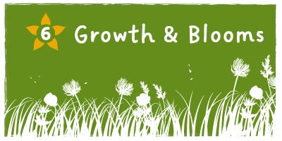 Growth & Blooms