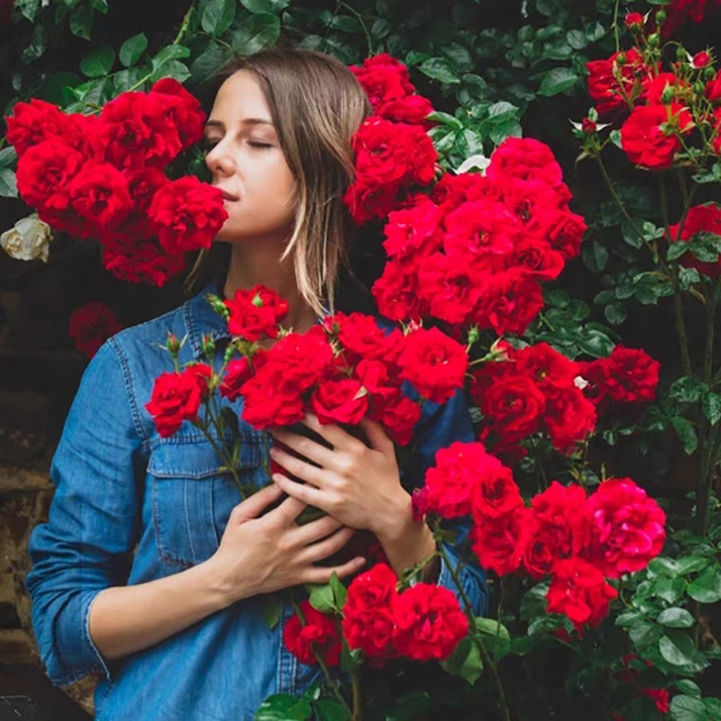 Climbing Plants Mix Seeds