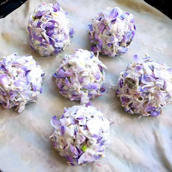 Wisteria flower seeds, Purple Elf Blossoms